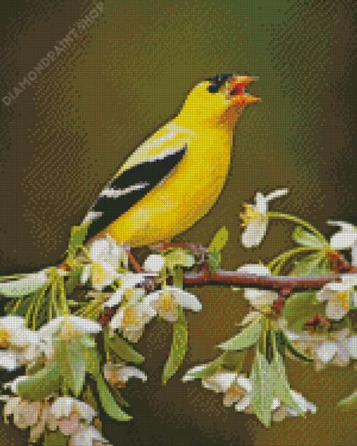 Yellow Finch On Tree Diamond Painting