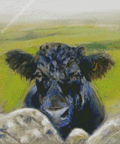 Black Cow Animal Diamond Painting