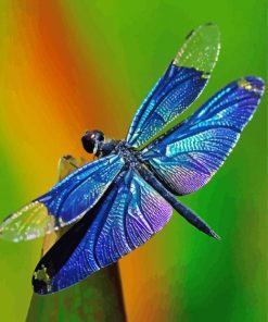 Blue Dragonfly Diamond Painting