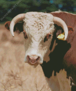Bull with Horns Diamond Painting