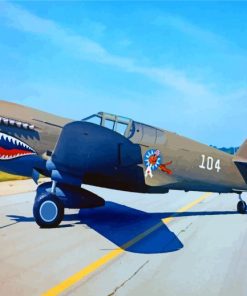 Grey P 40 Warhawk Diamond Paintings