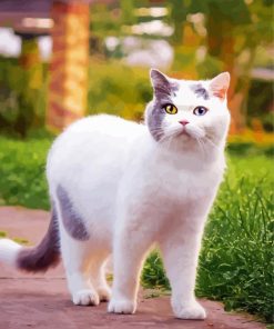 Aesthetic White Cat Diamond Painting