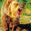 Angry Bear Wild Animal Diamond Painting