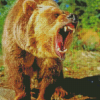 Angry Bear Wild Animal Diamond Painting