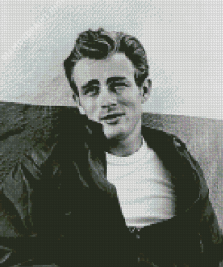Black And white Rebel Without A Cause Characters Diamond Painting