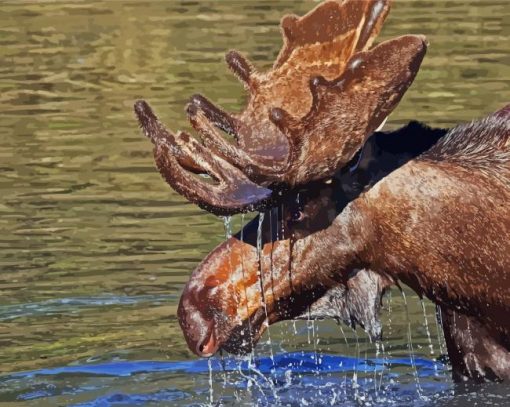 Brown Moose Head In Water Diamond Painting
