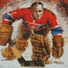 Cool Hockey Canada Diamond Painting