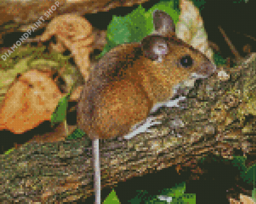 Cute Tree Mouse Diamond Painting