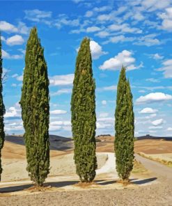Four Cypress Trees Diamond Painting