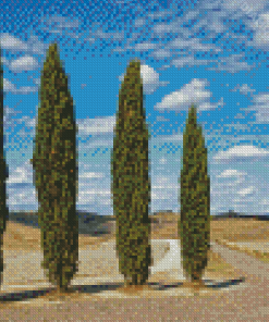 Four Cypress Trees Diamond Painting