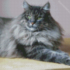 Grey Large Fluffy Cat Diamond Painting