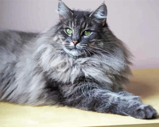 Grey Large Fluffy Cat Diamond Painting