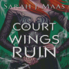 A Court Of Wings And Ruin Poster Diamond Painting