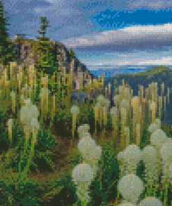 Beargrass Plants Meadow Diamond Painting