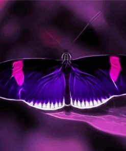 Black And Purple Butterfly Diamond Painting