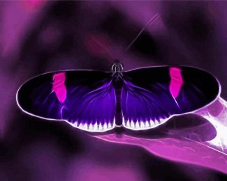 Black And Purple Butterfly Diamond Painting