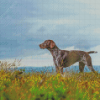 German Shorthair Dog Pet Diamond Painting