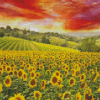 Italy Sunflowers Field Diamond Painting