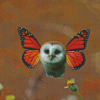 Mixed Animal Owl Diamond Painting