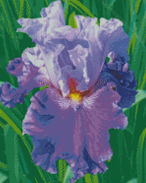 Purple Bearded Iris Diamond Painting