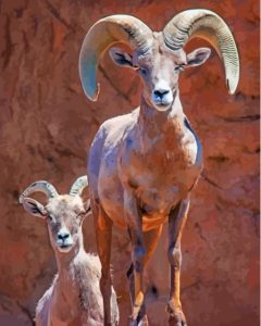 Wild Bighorn Sheep Animals Diamond Painting