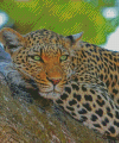 Aesthetic Wild Leopard Diamond Painting
