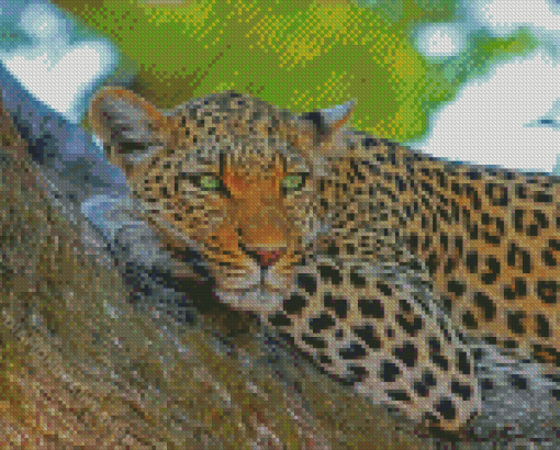 Aesthetic Wild Leopard Diamond Painting