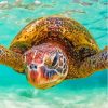 Cool Hawaii Turtle Diamond Painting