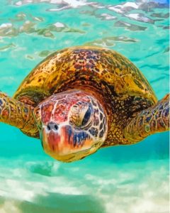 Cool Hawaii Turtle Diamond Painting