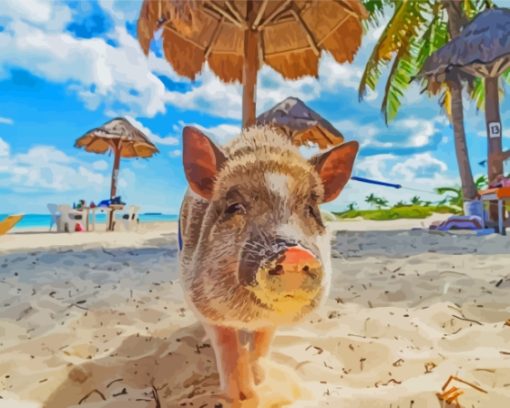 Pig In Bahama Diamond Painting
