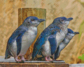 Australian Fairy Penguin Birds Diamond Painting