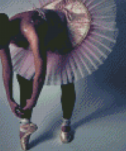 Ballerina Putting On Shoe Diamond Painting