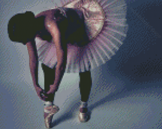 Ballerina Putting On Shoe Diamond Painting