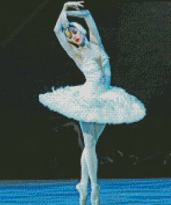 Ballet Swan Lake Diamond Painting