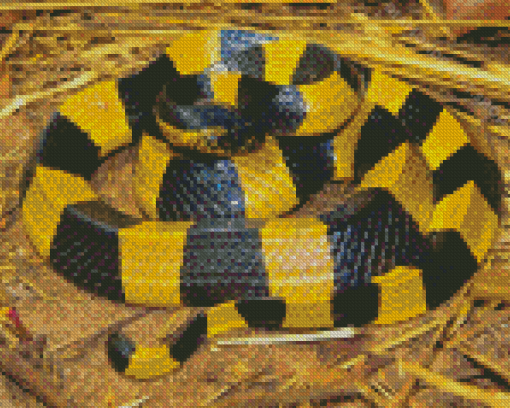 Banded Krait Snake Diamond Painting