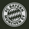Black And White Bayern Munich Logo Diamond Painting