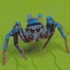 Blue Spider Diamond Painting