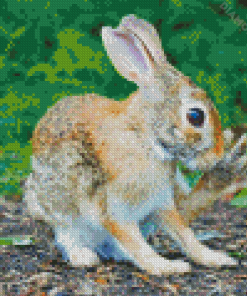 Brown Rabbit Near Green Leafed Diamond Painting
