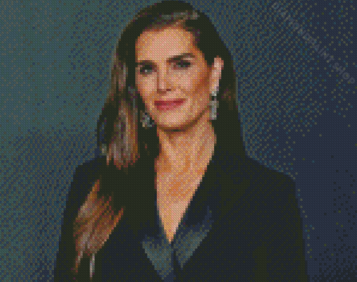 Classy Actress Brooke Shields Diamond Painting