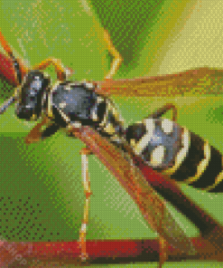 Close Up Yellow Jacket Wasp Diamond Painting