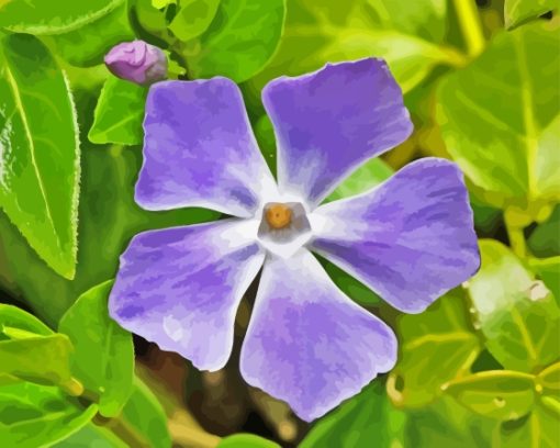 Close Up Periwinkle Purple Flower Diamond Painting