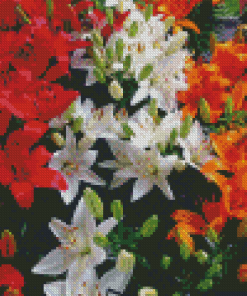 Colorful Lilies Flowers Diamond Painting