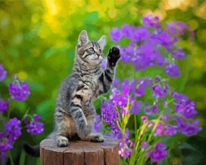 Cute Kitten With Purple Flowers Diamond Painting