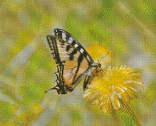 Dandelion Butterfly Diamond Painting