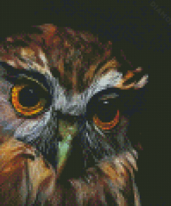 Morepork Owl Bird Diamond Painting