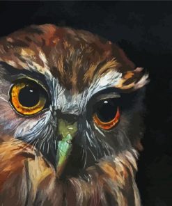 Morepork Owl Bird Diamond Painting