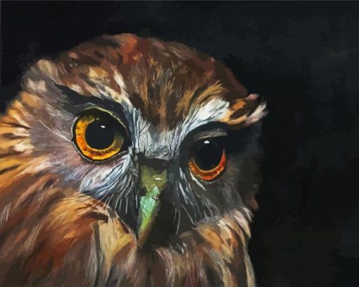 Morepork Owl Bird Diamond Painting