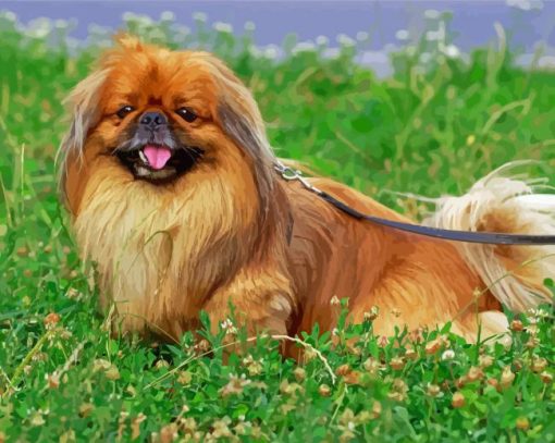 Pekingese Brown Dog Diamond Painting