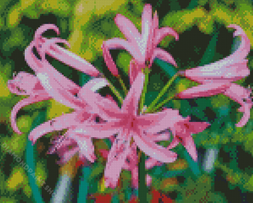 Pink Nerine Flowering Plants Diamond Painting