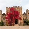Red Plant On Hever Castle Wall Diamond Painting